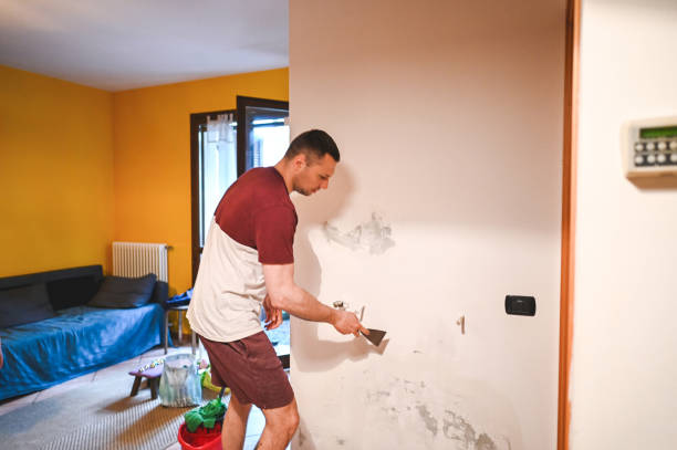 Best Commercial Mold Remediation in Seville, FL