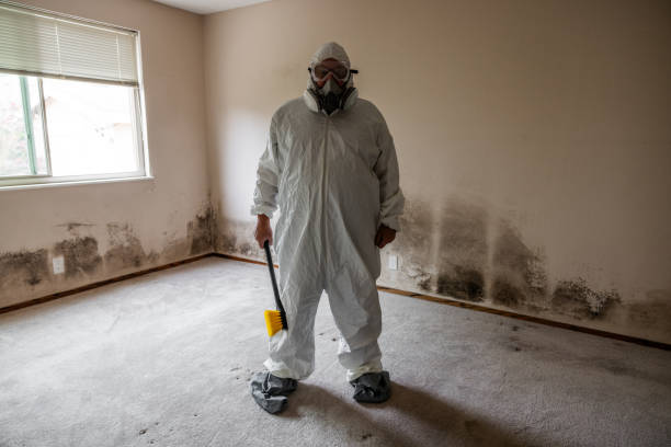 Best Mold Testing and Inspection Services in Seville, FL